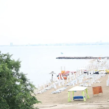 Iris スヴェティ・ヴラス